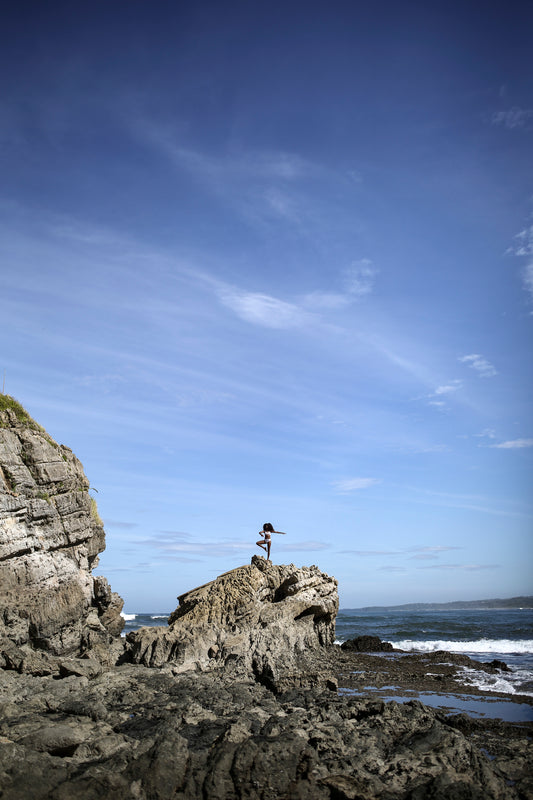 T. en rocas